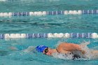 Women's Swimming & Diving  Wheaton College Women’s Swimming & Diving vs Mount Holyoke College. - Photo by Keith Nordstrom : Wheaton, Swimming & Diving
